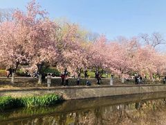 -元大都城垣遗址公园