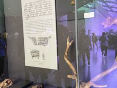 -北京周口店北京人遗址博物馆