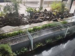 -豫丰汇河南名菜楼(武记餐饮)