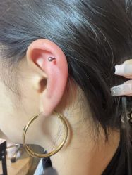 -匿名者纹身学院派·刺青