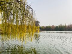 -济南大明湖景区