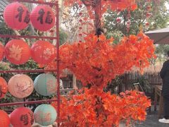 -后湖小院·乡野田园菜