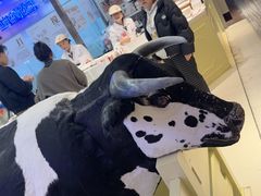 -红星前进面包牛奶公司(君太店)