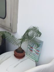 -索菲医疗整形美容