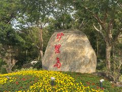 -野狸岛