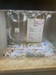 -晨·艺美甲美睫