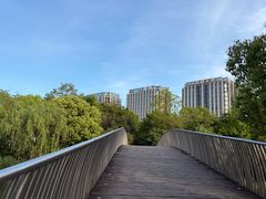-南翔镇银翔湖公园