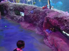 -沈阳海洋探索中心