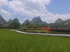 -靖西鹅泉风景区