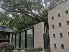 -广东温泉宾馆