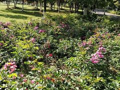 -白塘生态植物园