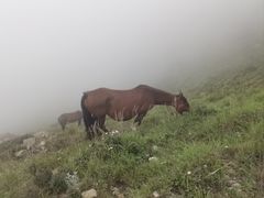 -灵山