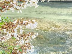 -红星桥(地铁站)