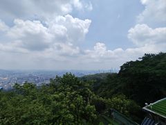 -阿婆牛杂·广府非遗地标美食(云山天地店)