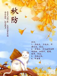 -章光101防脱养发荟