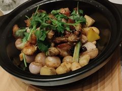 -大中华希尔顿酒店·兰亭潮中餐厅·粤菜