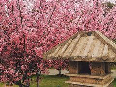 -南京市江宁方山