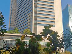 -bluefrog蓝蛙(皇庭广场店)