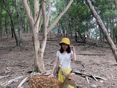 -清迈夜间动物园