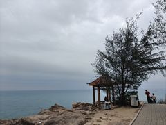 -广东惠东海龟国家级自然保护区