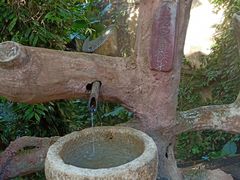 -天门沟九州驿站树上汤泉