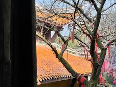 -涂山寺素食餐厅