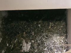 -小小河边鱼(天润城店)