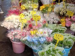 -循礼门鲜花花市(武汉循礼门店)