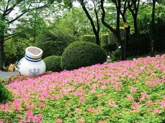-广州市白云山风景名胜区