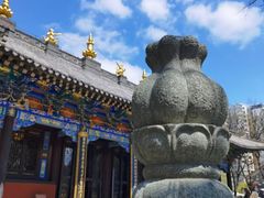 -护国法轮寺