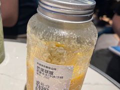 -野萃山·潮汕厚果汁(十亩地店)