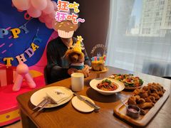 -百好乐宠物友好餐厅(朝外大街店)