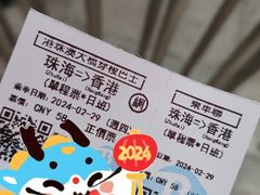 -港珠澳大桥(珠海段)