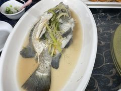 -波记美食店·现捞海鲜