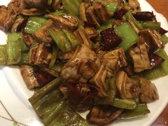 -鸢飞潍坊菜馆(鸢飞大酒店)