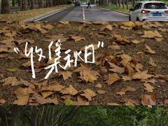 -河南省黄河迎宾馆