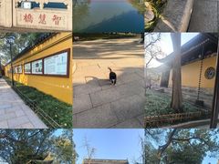 -西园寺素食(西园弄戒幢律寺店)