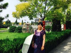 -大槐树寻根祭祖园