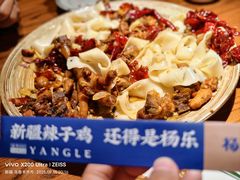 -杨乐辣子鸡(和田一街店)