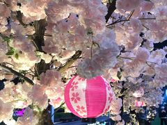 -玩米匠(寿司·刺身·金水正弘城店)