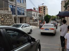 -广东惠东海龟国家级自然保护区