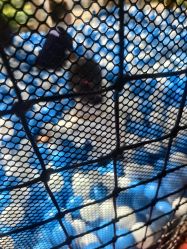 -玩元素·家庭游乐成长中心(香格里拉店)