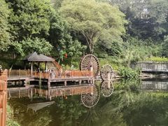 -重庆彩云湖湿地公园
