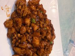 -邵年鸽(杨庄店)