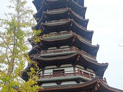 -洋湖国家湿地公园