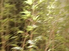-同湘会馆(粤垦路店)