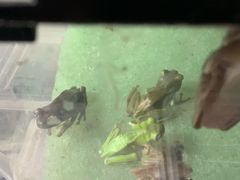 -华声天桥民俗文化园
