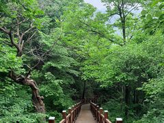 -大岭沟猕猴桃谷风景区