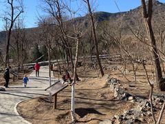 -阳台山自然风景区