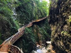 -鹿院坪生态旅游景区